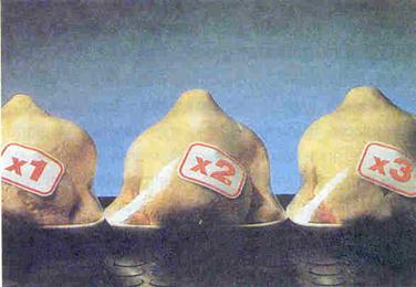 ?yi bir besin : Tavuk eti